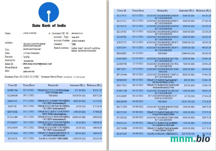 India State Bank Of India konto statement Word i szablon PDF, Wersja 3